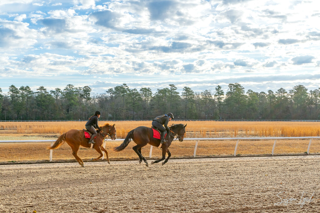 Two horses running on the track. All eight hooves are off of the ground. 